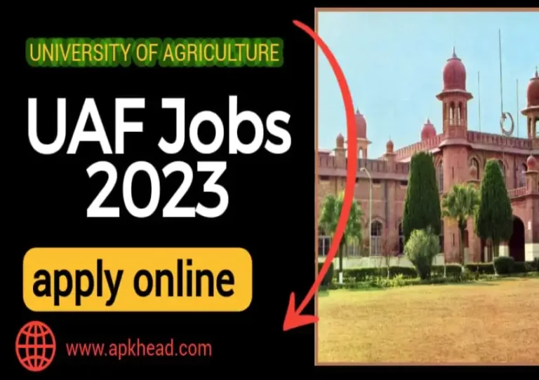 University-of-Agriculture-Faisalabad-Jobs