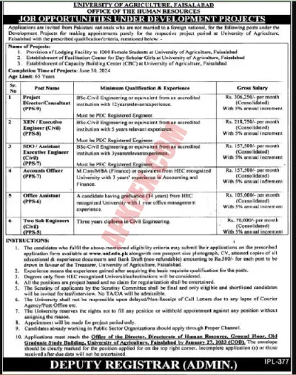 University of Agriculture Faisalabad Jobs 2023