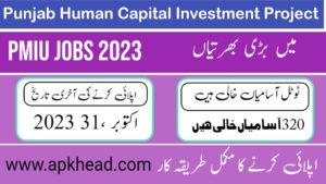 Punjab Human Capital Investment Project (PMIU jobs 2023)