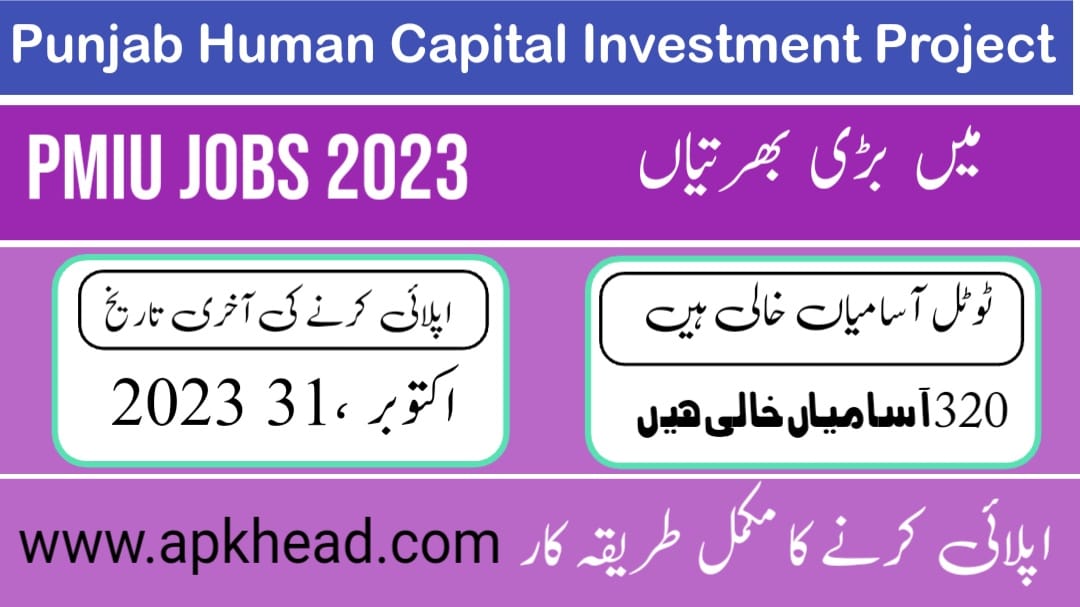 Punjab Human Capital Investment Project (PMIU jobs 2023)