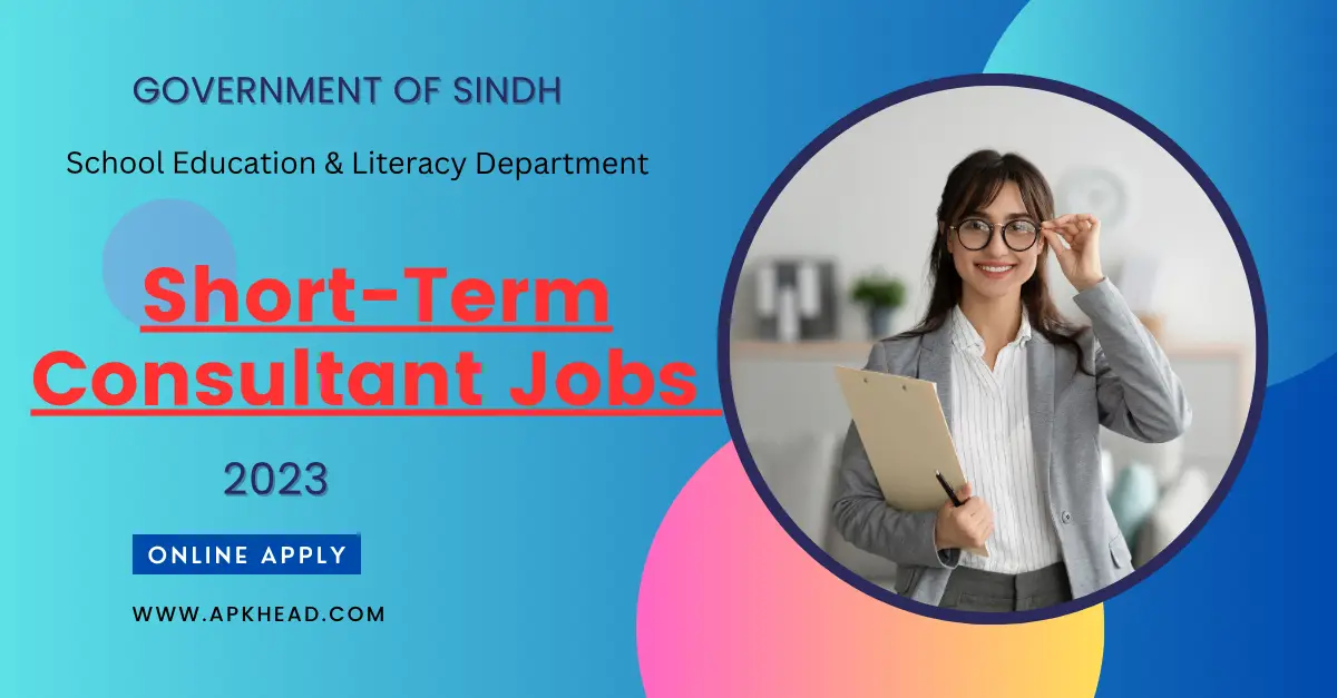 Short-Term Consultant Jobs 2023